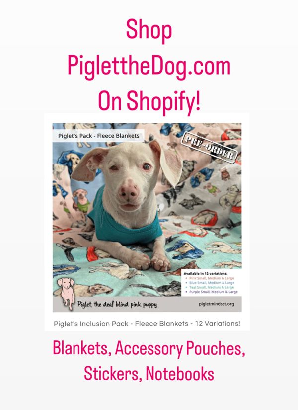 Order Piglet Merch