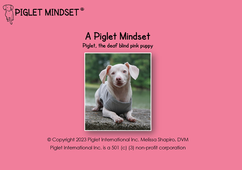 A Piglet Mindset cover