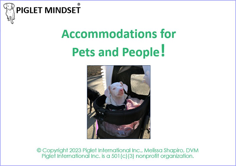 Accommodations for Pets and People cover