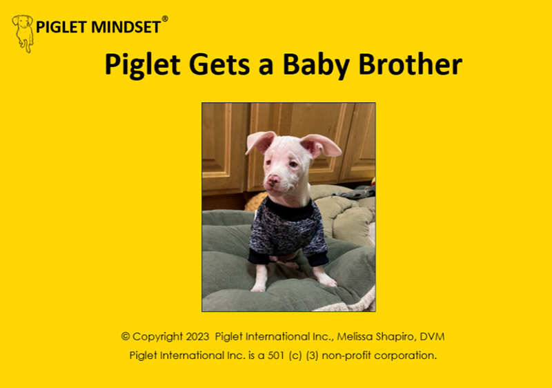 Piglet Gets a Baby Brother cover