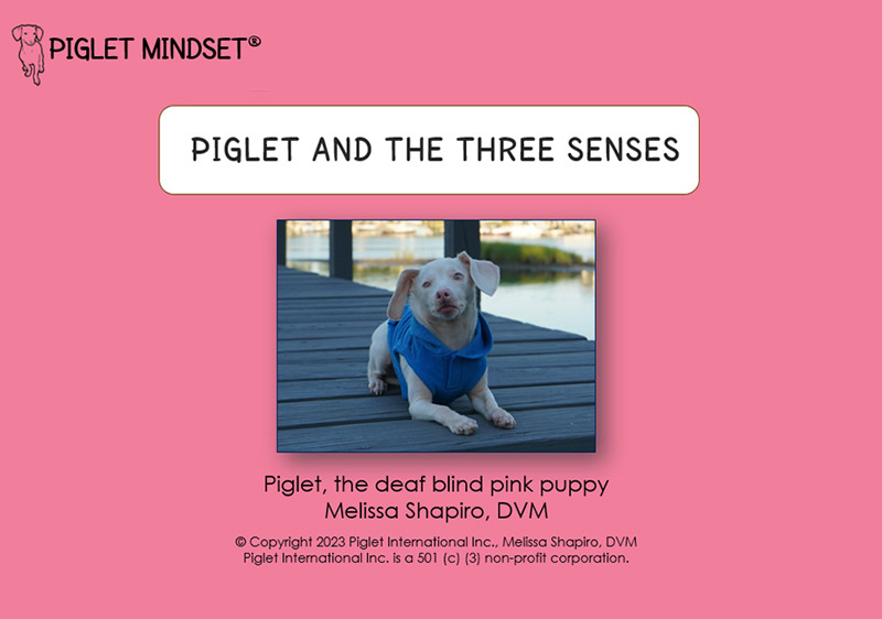 Piglet and the Three Senses cover