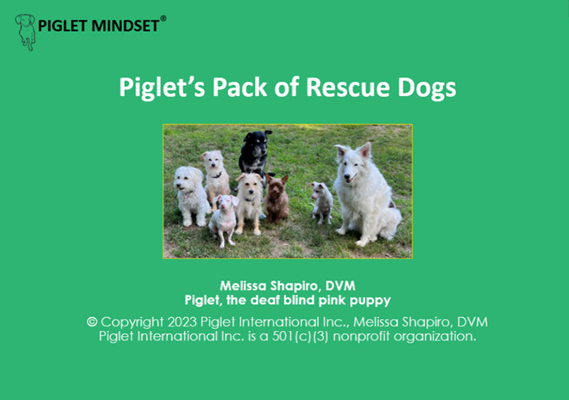 Piglet's Pack of Rescue Dogs cover