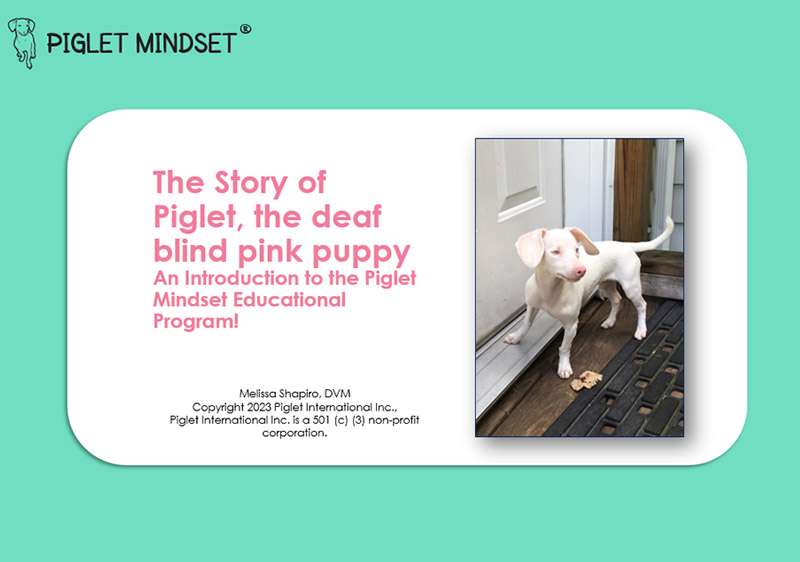 The Story of Piglet the deaf blind pink puppy cover