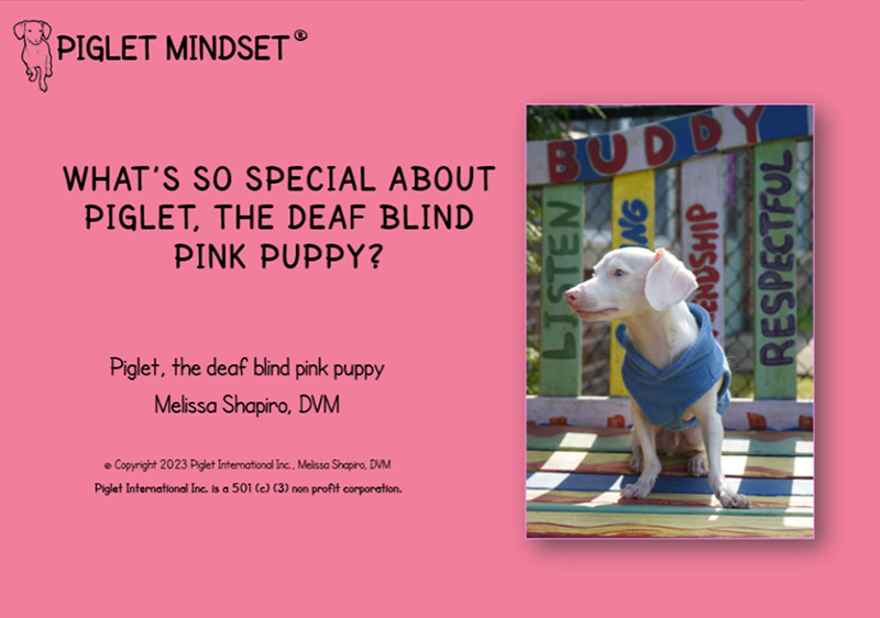 What's So Special about Piglet the Deaf Blind Pink Puppy cover