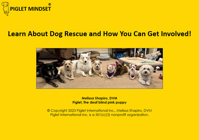 Learn about Animal Rescue cover